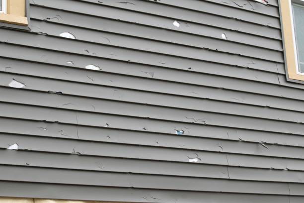 Best Property Management Cleanouts  in Manteno, IL